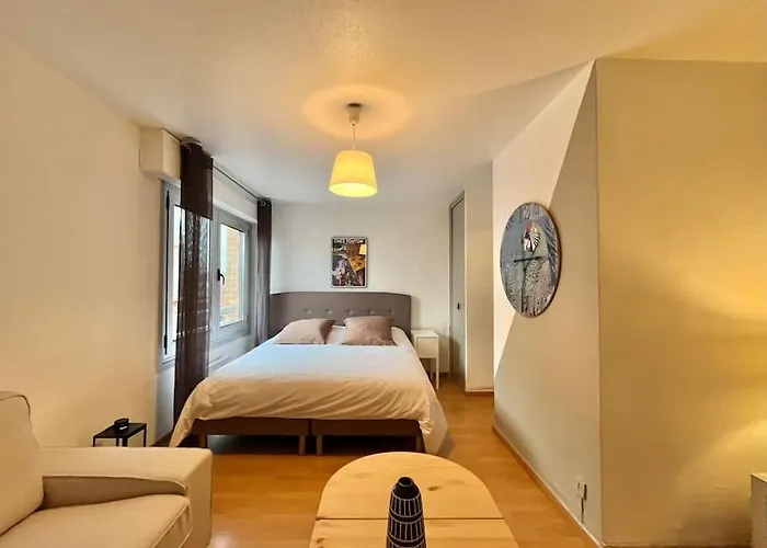 Διαμέρισμα Grand En Hyper-centre Τουλούζη